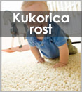 kukoricarost szőnyegek